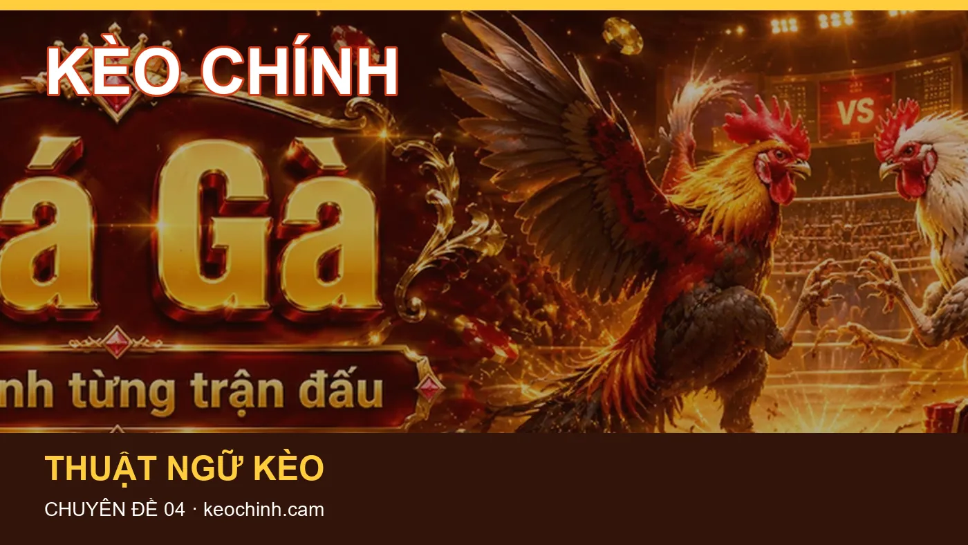 Những nhầm lẫn thường gặp khi đọc nội dung Bóng đá trên KÈO CHÍNH