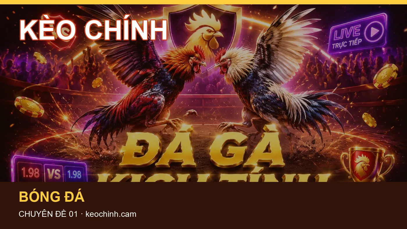 Những nhầm lẫn thường gặp khi đọc nội dung Hướng dẫn trên KÈO CHÍNH